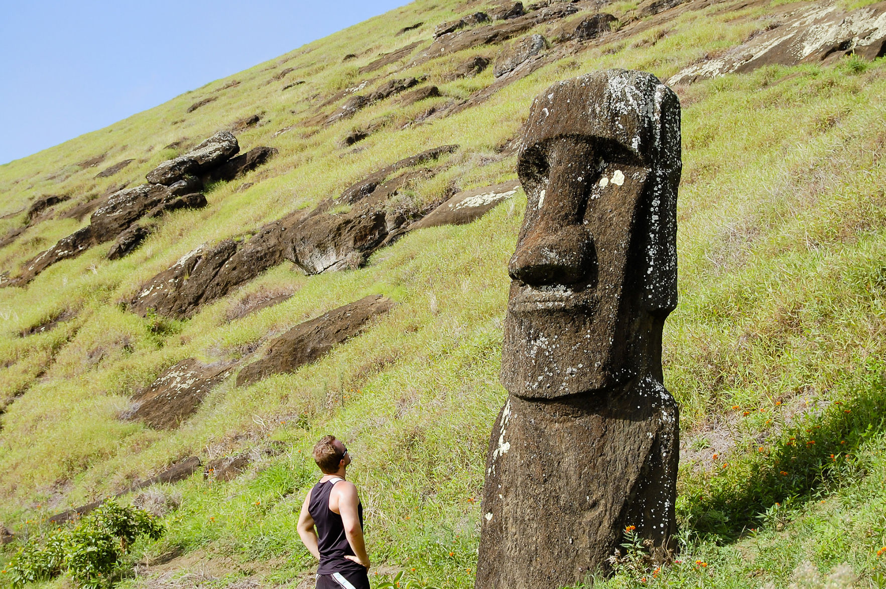 Don’t touch the moai